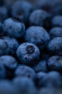 Close-up of fresh blueberries