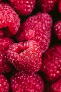 Close-up of fresh raspberries
